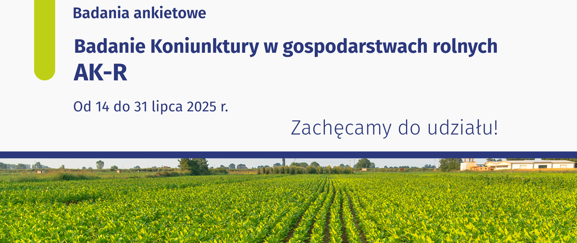 Grafika nad polem rosnących roślin napis badanie ankietowe koniunktury w gospodarstwach rolnych