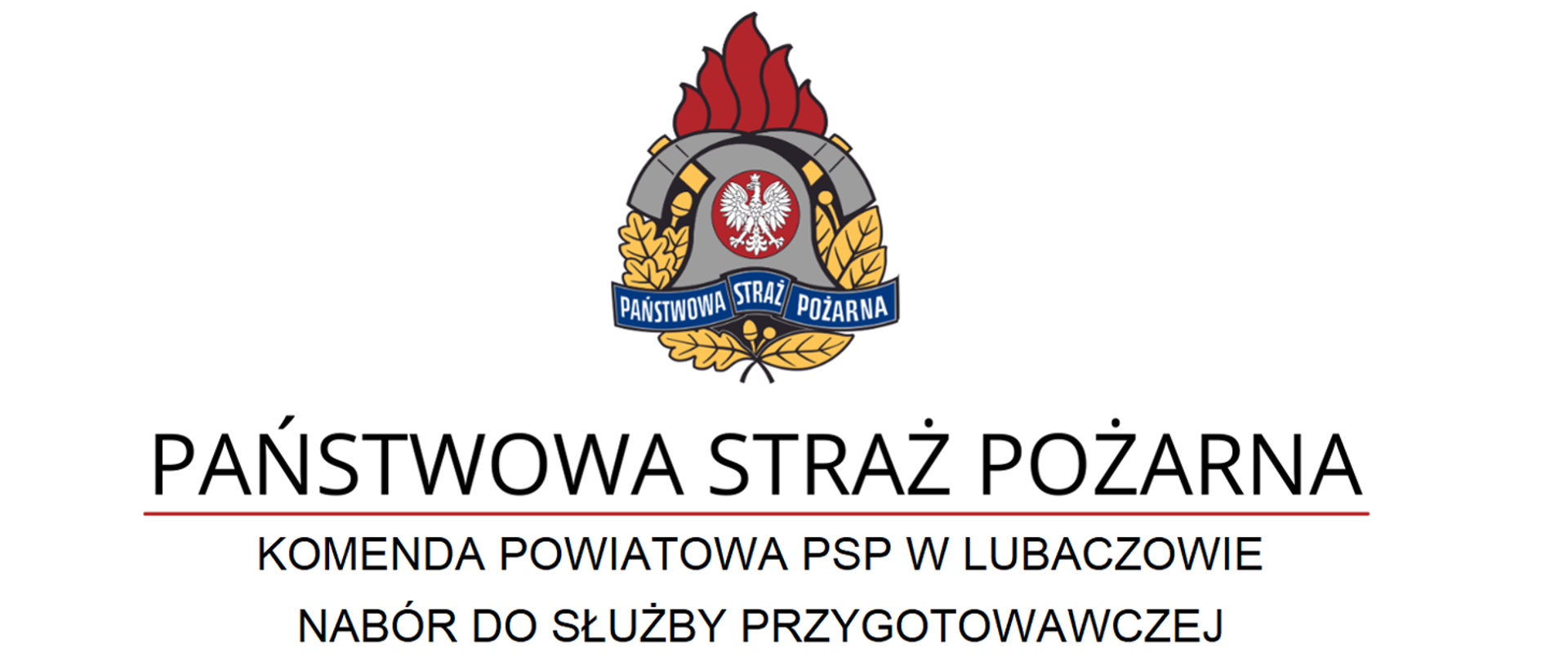 Logo KP PSP Lubaczów