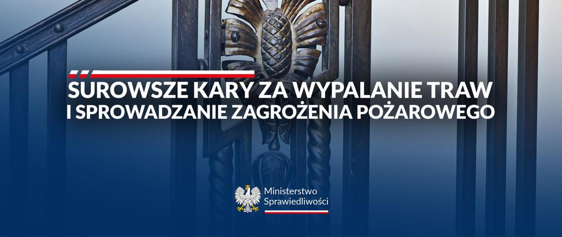 Surowsze kary za wypalanie traw i sprowadzanie zagrożenia pożarowego