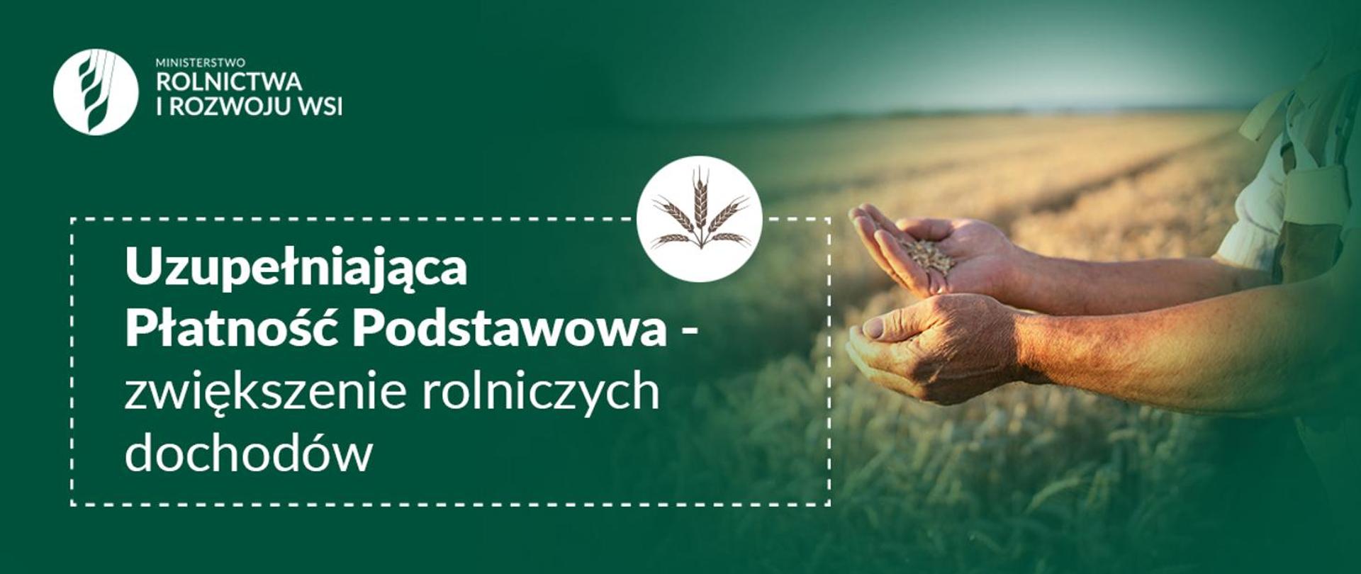 białe napisy na zielonym tle, ziarna zboża trzymane w dłoniach, w oddali pole 