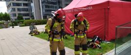 Strażacy Państwowej Straży Pożarnej w ubraniach typu nomex sprawdzają zapięcia apartów oddechowych przed startem do biegu.