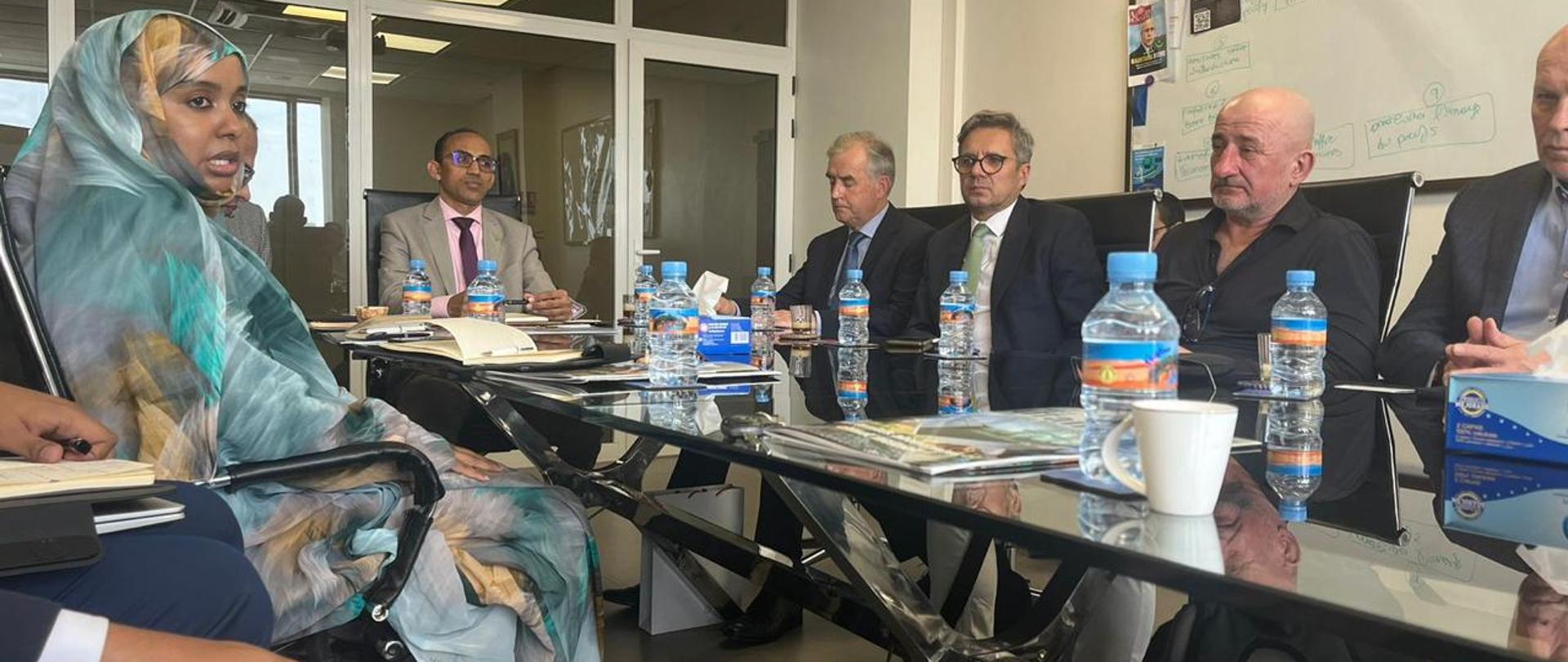 mission économique d'entreprises polonaises en Mauritanie 