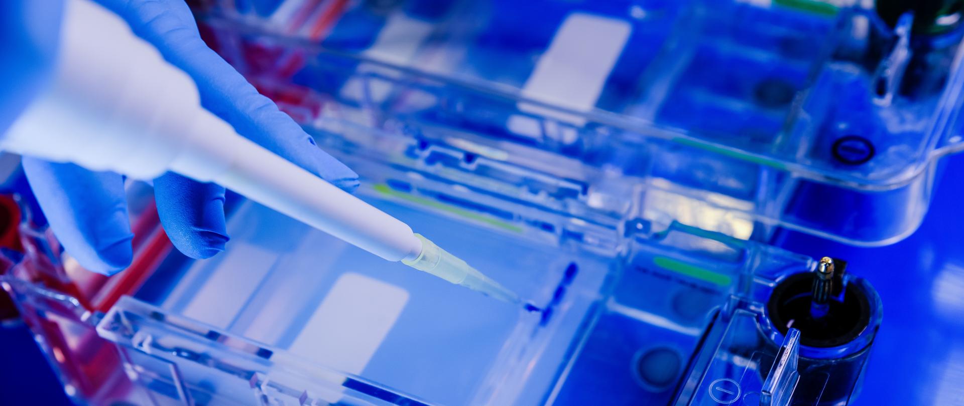 A closeup shot of a scientist conducting the gel electrophoresis biological process as part of coronavirus research