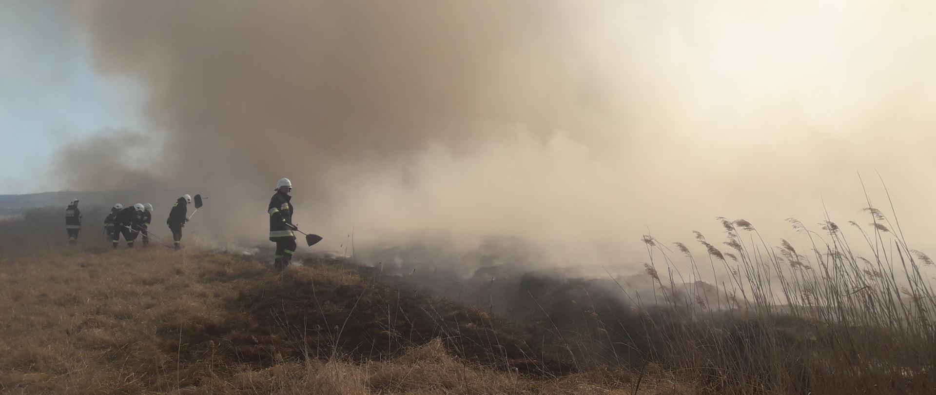 Zdjęcie przedstawia strażaków gaszących pożar suchej roślinności za pomocą tłumic. Działania odbywają się w silnym zadymieniu