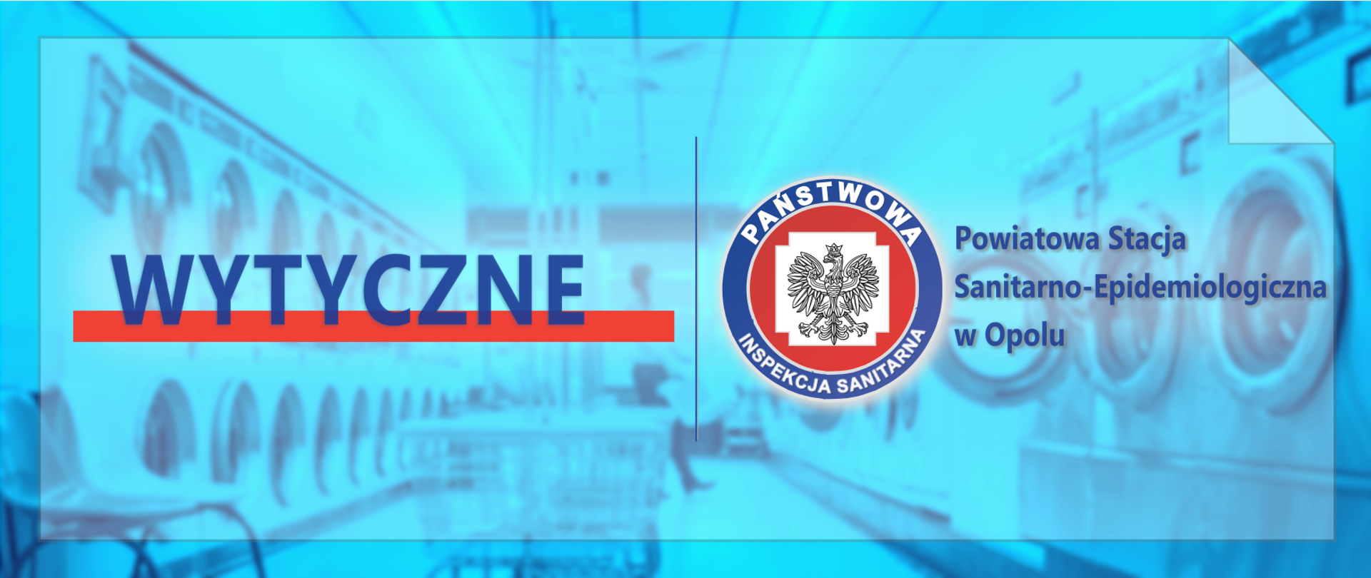 Wytyczne - infografika