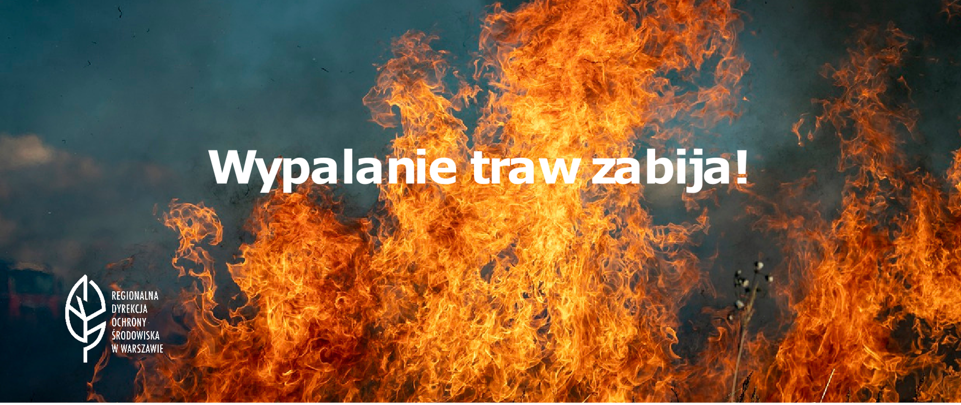 Płomienie ognia na łące, logo i hasło: Wypalanie traw zabija