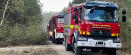 Rząd pojazdów gaśniczych straży pożarnej stojacych na drodze leśnej. 
