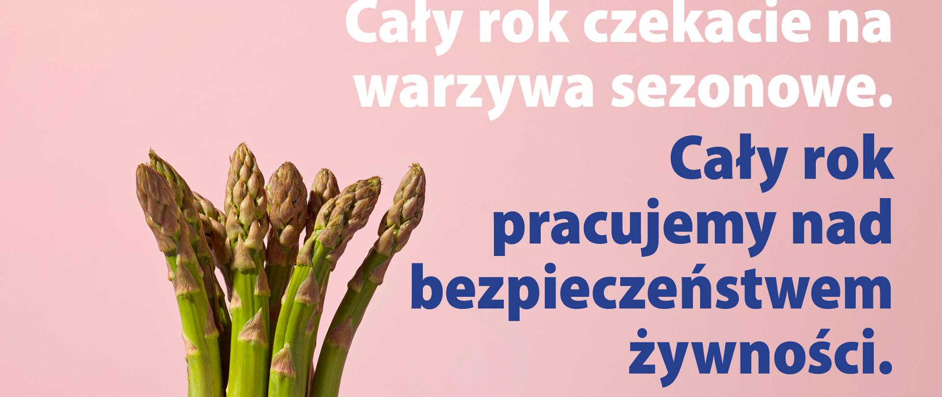 kampania informacyjna Europejskiego Urzędu ds. Bezpieczeństwa Żywności pt.: „Wybieraj zdrową żywność” #EUChooseSafeFood