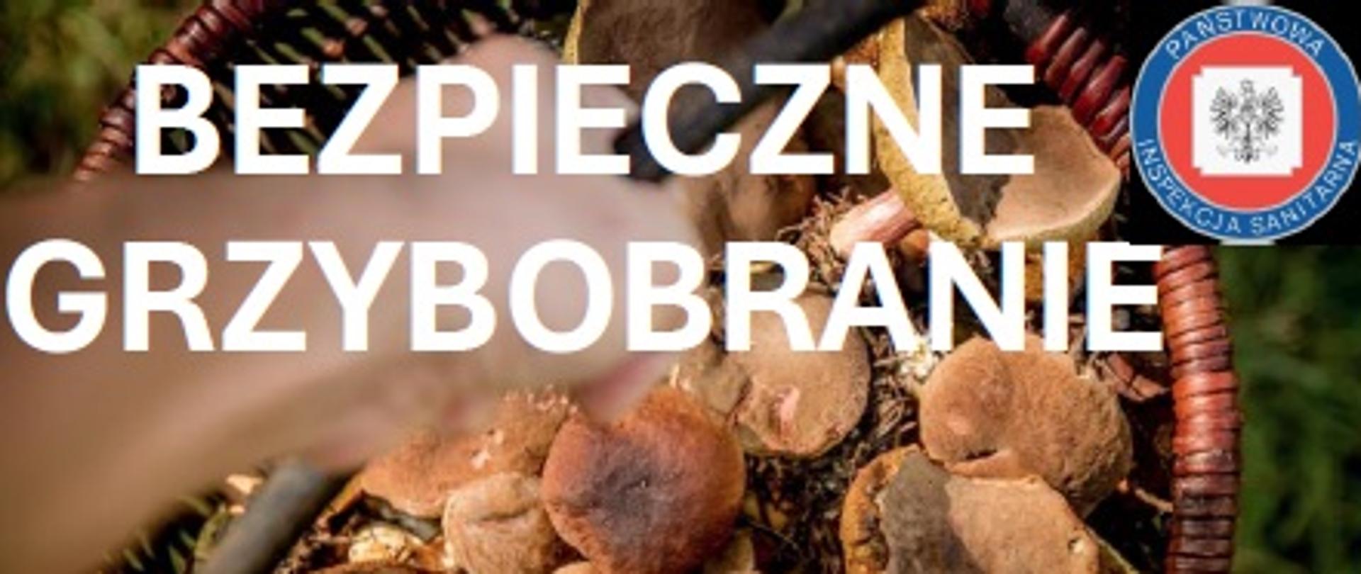 BEZPIECZNE GRZYBOBRANIE 