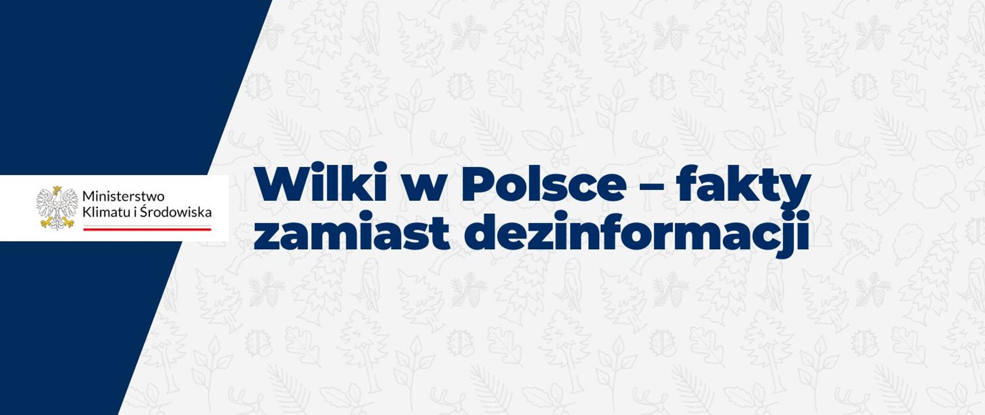Wilki w Polsce – fakty zamiast dezinformacji 
