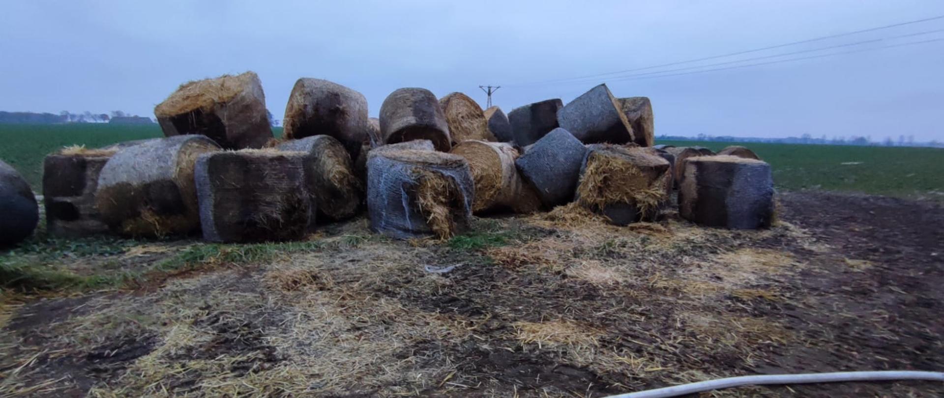 Spalone baloty słomy leżą na polu.