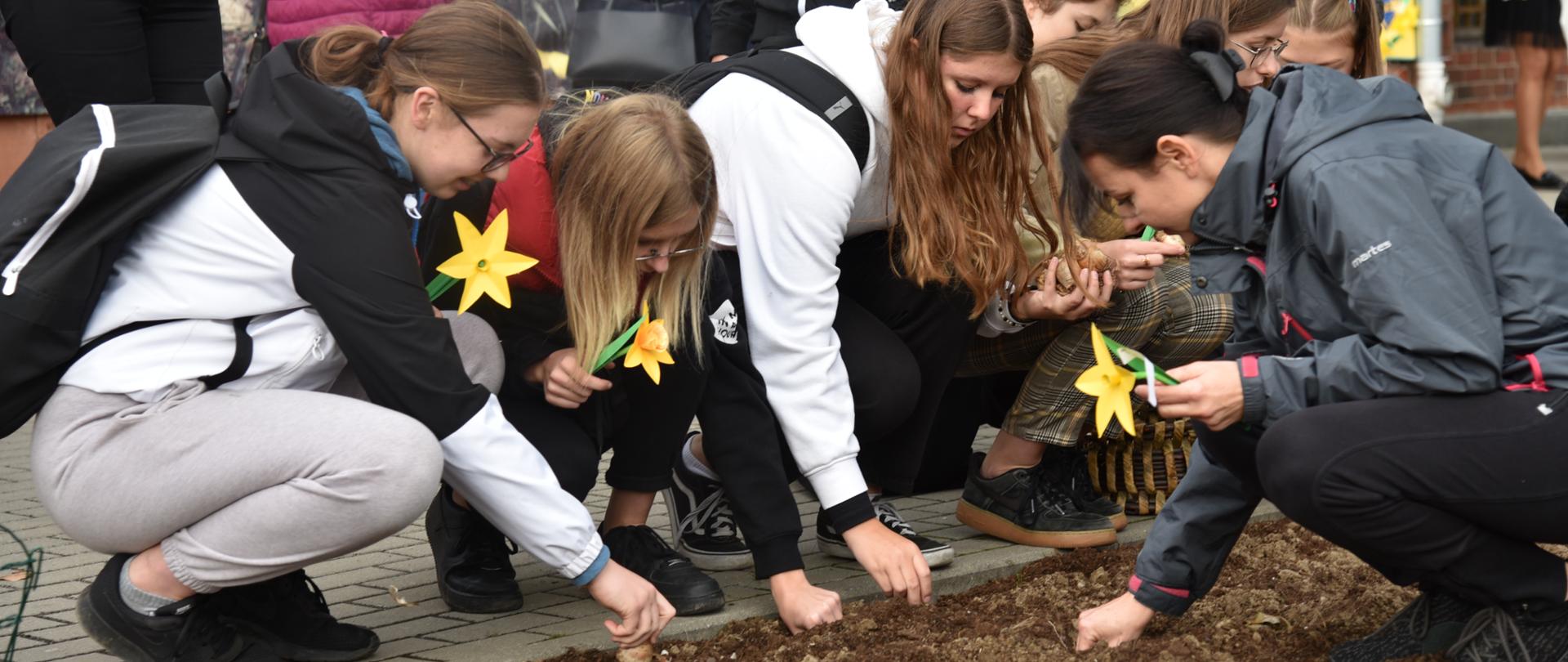 Uczniowie umieszczają cebulki w dołkach. W dłoniach trzymają żółte kwiaty bibuły