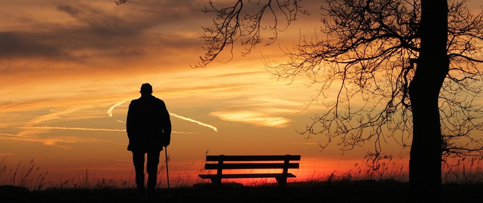 Na zdjęciu widać mężczyznę z laską w ręce stojącego obok ławki i drzewa na tle zachodzącego słońca