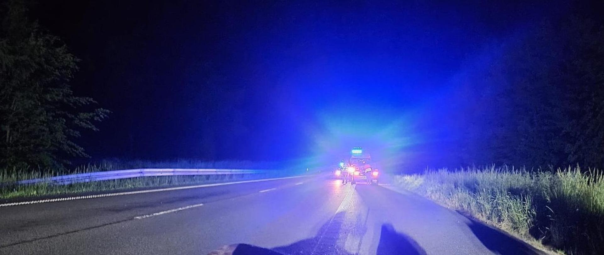 Zdjęcie zrobione nocą. Na drodze leży zwierzę. W oddali niebieskie światła ostrzegawcze służb ratowniczych.