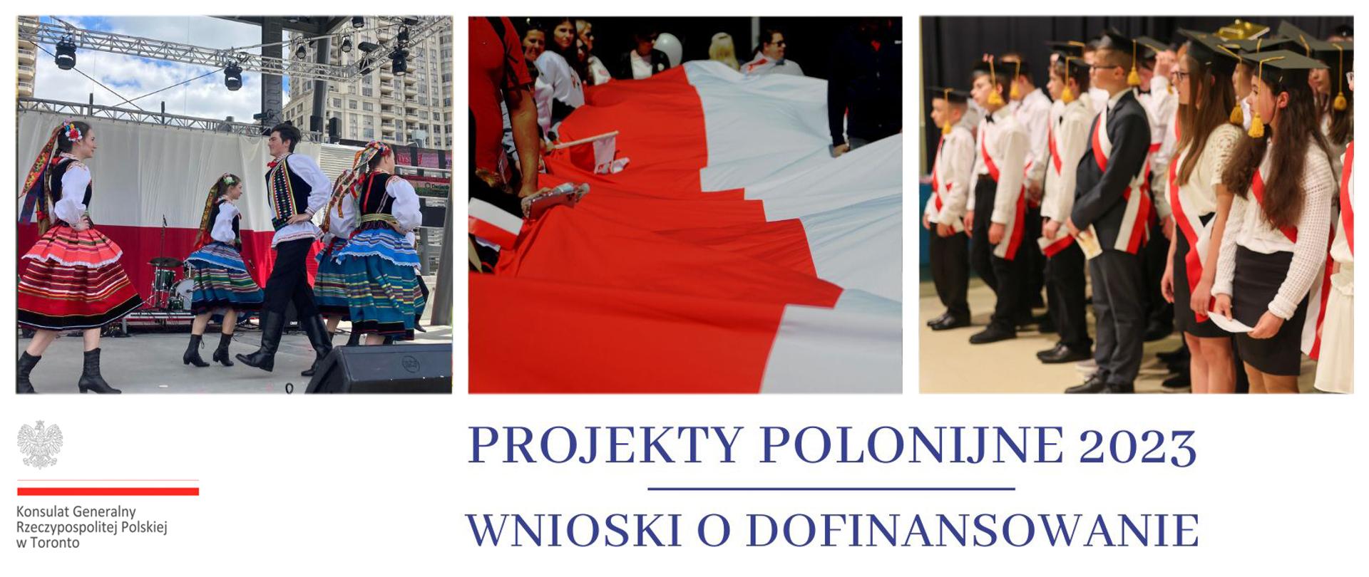 wnioski polonijne