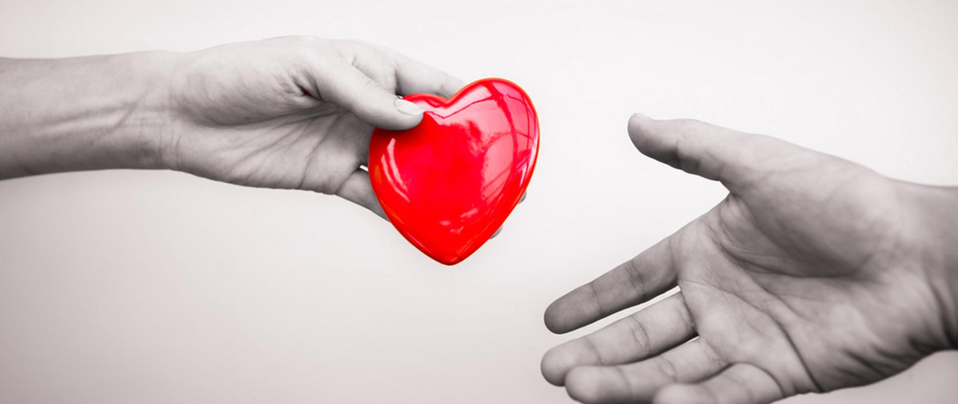 Światowy Dzień Donacji i Transplantologii