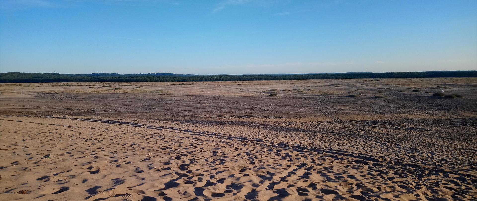 Zdjęcie przedstawia krajobraz - Pustynia Błędowska (Jura Krakowsko-Częstochowska)