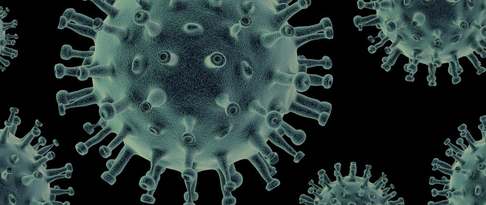 grafika przedstawia zarys wirusów