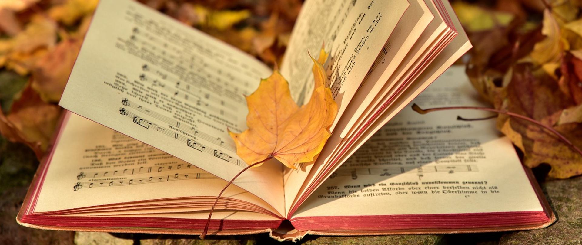 Zdjęcie otwartej książki na tle jesiennych liści