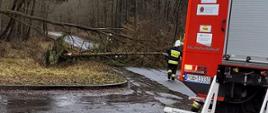 Zdjęcie przedstawia powalone na drogę drzewa oraz samochód pożarniczy i strażaka.