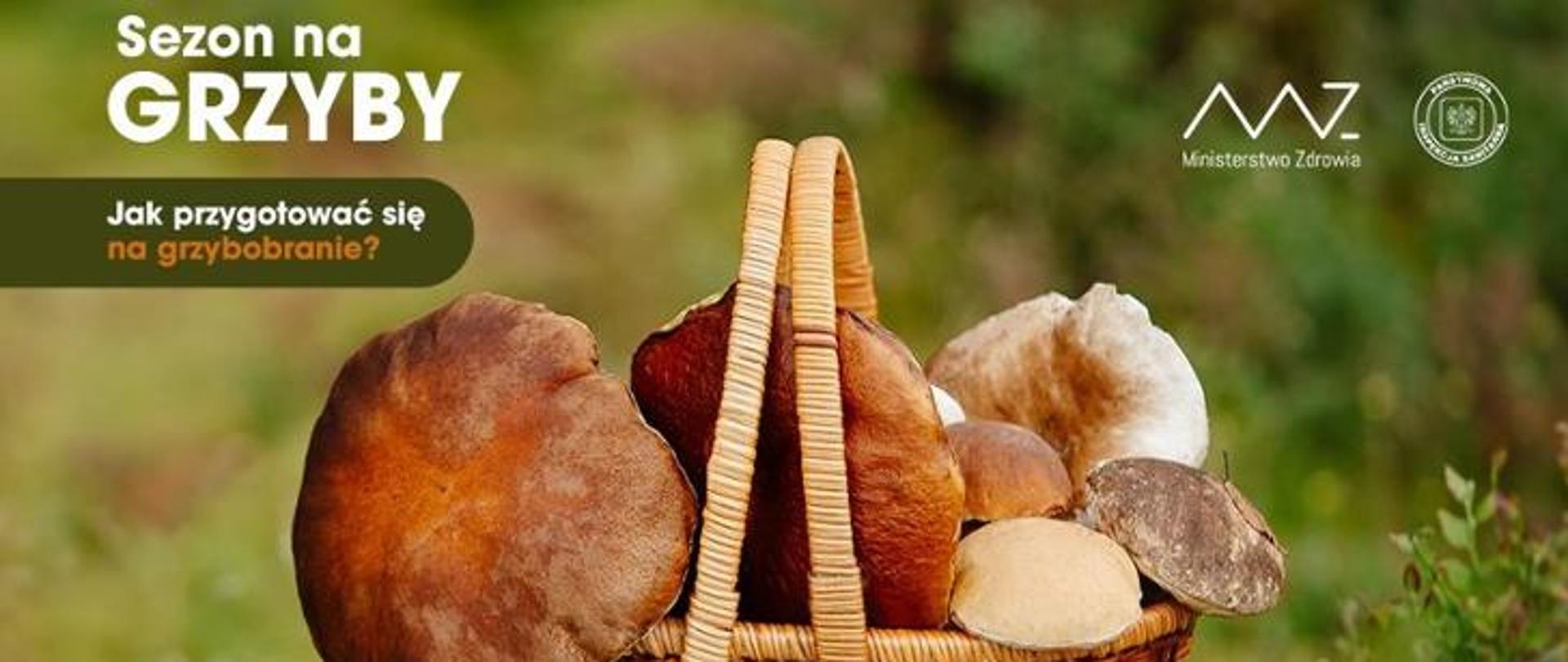 grzyby