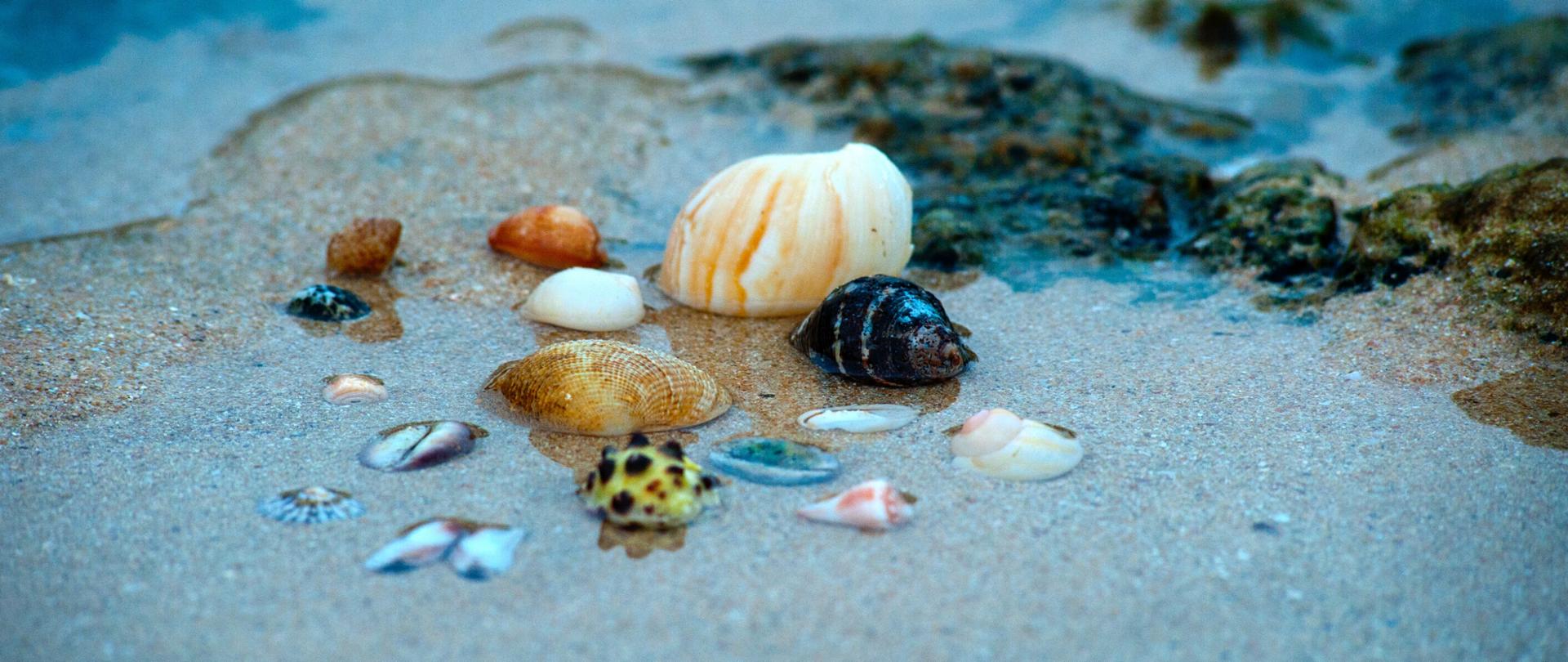 Wypoczynek letni 2023