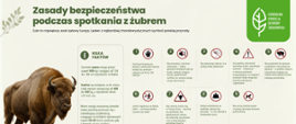 Zasady bezpieczeństwa podczas spotkania z Żubrem