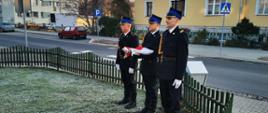Zdjęcie przedstawia poczet flagowy Komendy Powiatowej Państwowej Straży Pożarnej w Lwówku Śląskim przed podniesieniem Flagi Państwowej.