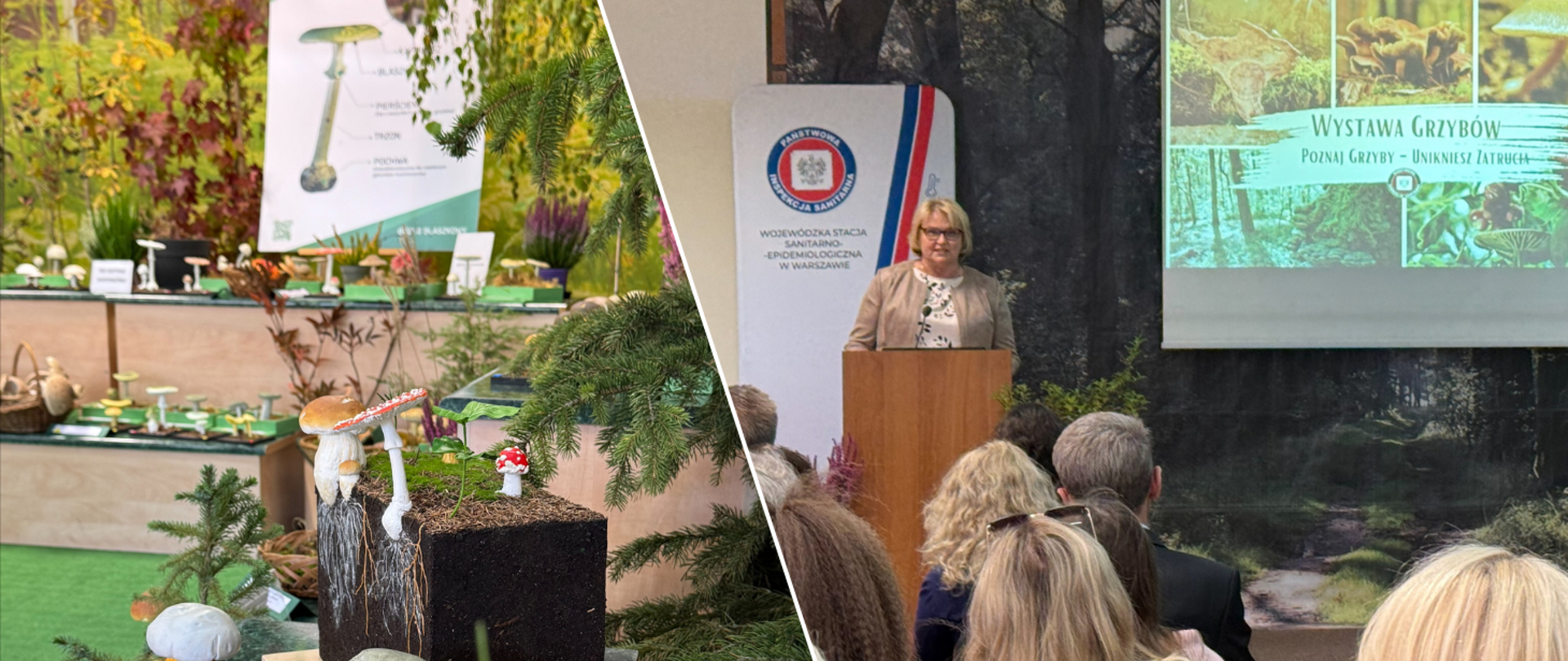 Wystawa grzybów "Poznaj grzyby - unikniesz zatrucia".
