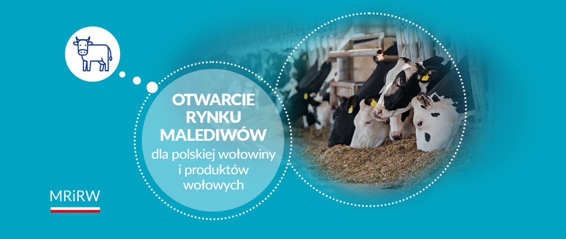 Polska wołowina trafi na rynek Malediwów