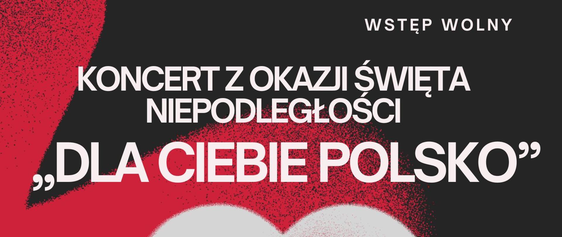 Plakat informacyjny dotyczący Koncertu z okazji Święta Niepodległości, odbywający się w dniu 10.11.2023 r. o godz. 17.00.