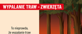 Wypalanie traw - zwierzęta