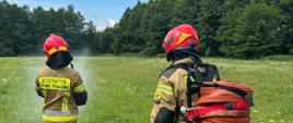 Szkolenie z gaszenia terenów niezurbanizowanych - strażacy podczas próby gaszenia traw.