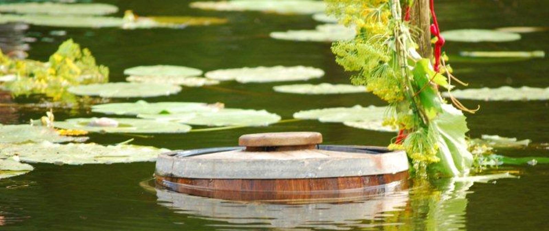 Jeziorowy ogórek kiszony