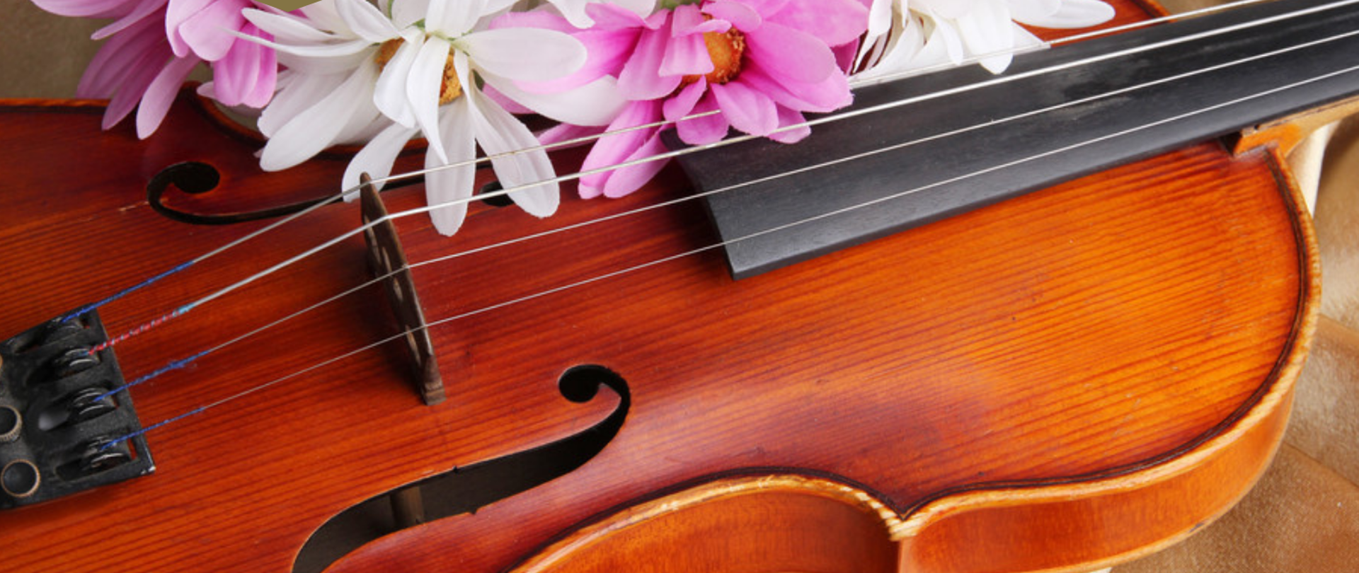 Plakat wydarzenia - koncert z cyklu Muzyczny czwartek w Galerii Karkonoskiej. W górnej części plakatu zdjęcie frontu skrzypiec w małym bukietem kwiatów, margaretki z białymi i różowymi płatkami. W dolnej części napisy informujące o wydarzeniu Muzyczne Czwartki 09.03.2023 godz. 16:00 " Muzycznie Paniom" Galeria Karkonoska ulica 1 Maja 27 Jelenia Góra oraz loga: Ośrodka Kultury i Sztuki we Wrocławiu, Instytucji Kultury Samorządu Województwa Dolnośląskiego, Karkonoskiej Agencji Rozwoju Regionalnego, Urzędu Marszałkowskiego Województwa Dolnośląskiego, Państwowej Szkoły Muzycznej I i II stopnia im. Stanisława Moniuszki w Jeleniej Górze.
Na dole plakatu napis: Projekt współfinansowany z budżetu samorządu województwa dolnośląskiego