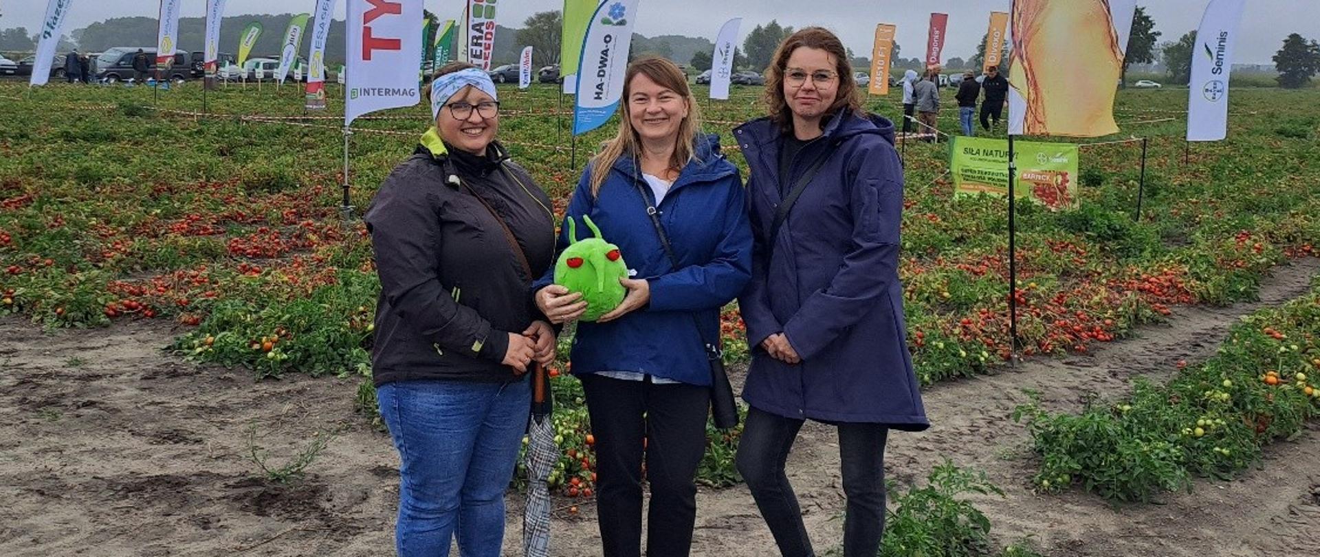 Dzień Pomidora w powiecie rawickim