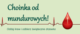 
Choinka we wrześniu? Dlaczego nie!
