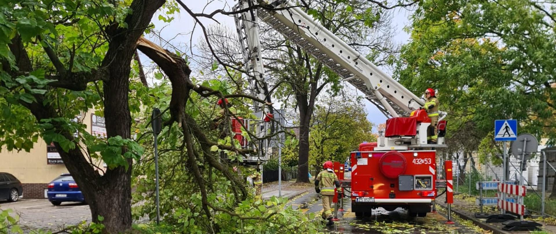 Na zdjęciu widoczni są strażacy którzy przy pomocy podnośnika usuwają złamaną gałąź. 