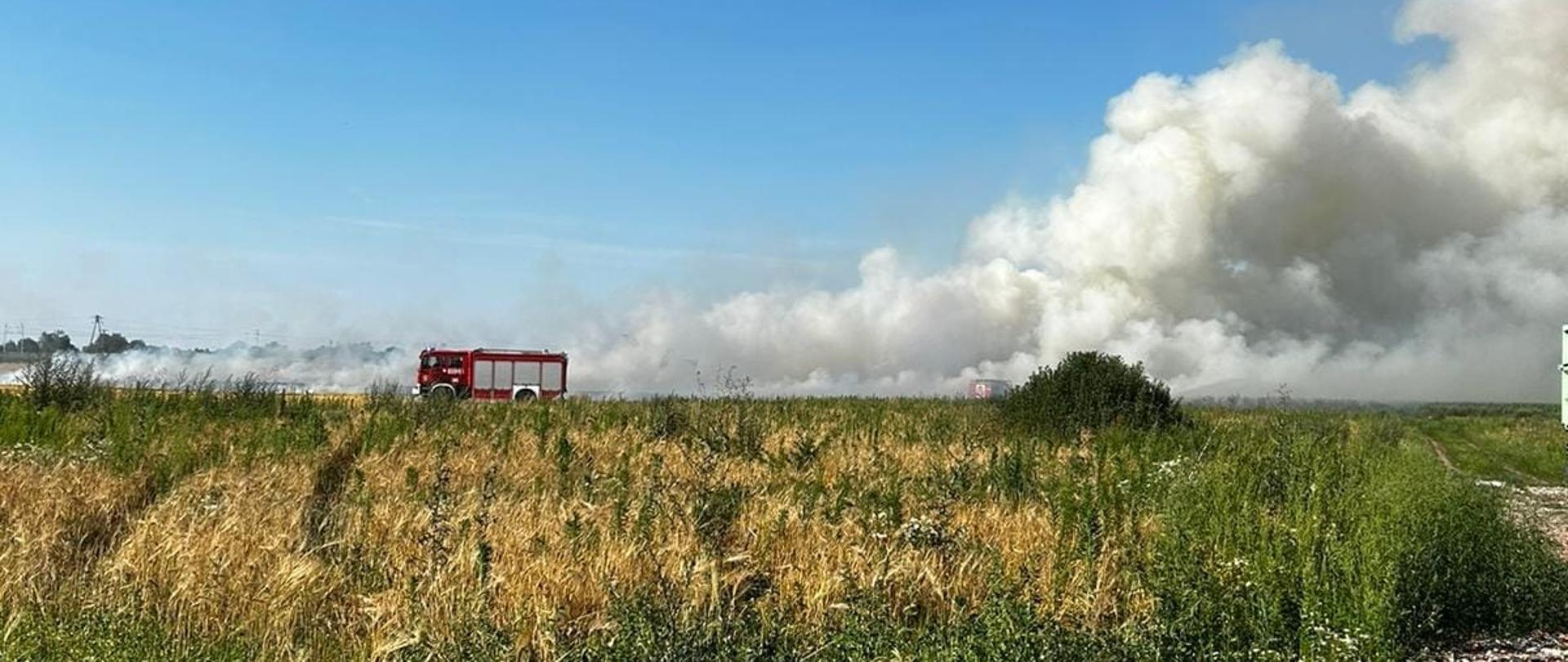 Zdjęcie przedstawia palące się w oddali pole, unoszący się dym oraz czerwony wóz strażacki