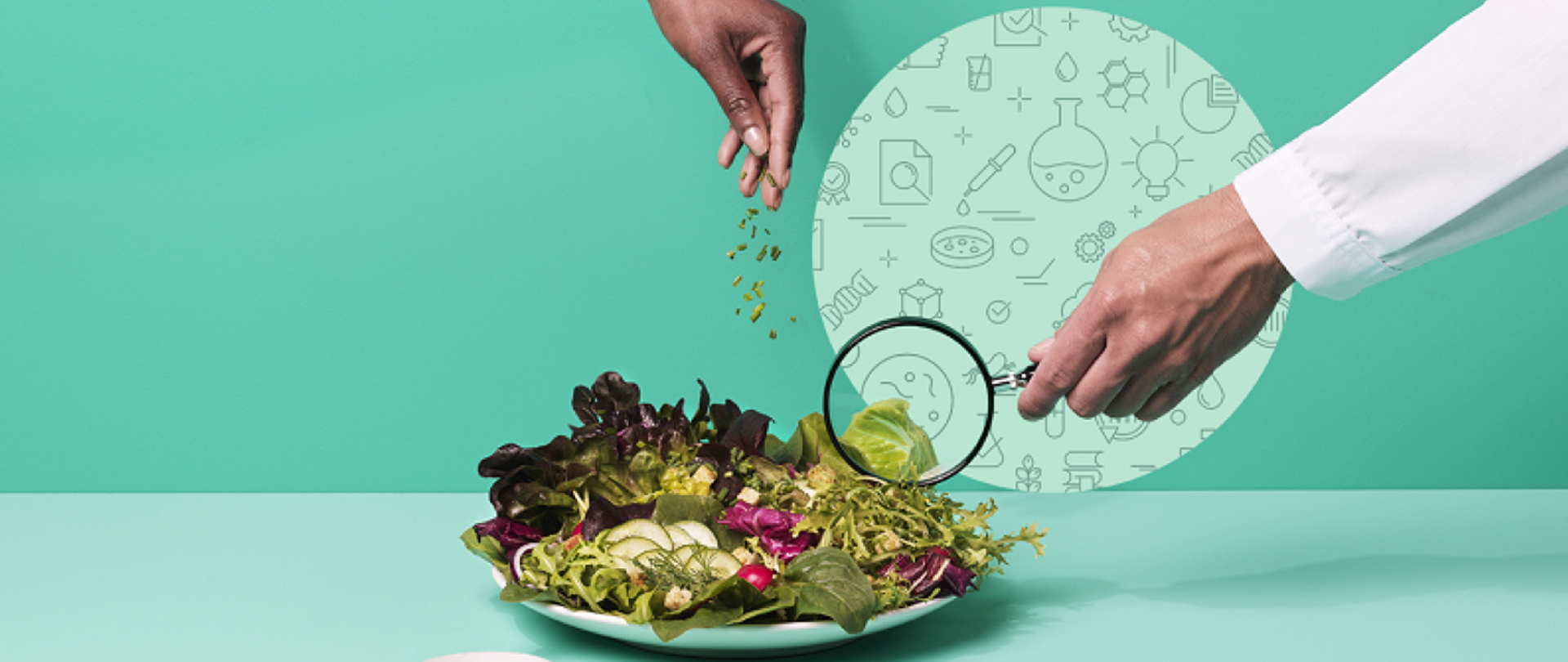 Zdjęcie przedstawia talerz z sałatką. Jedna ręka trzyma lupę nad sałatką, druga ręka sypie coś zielonego do sałatki.