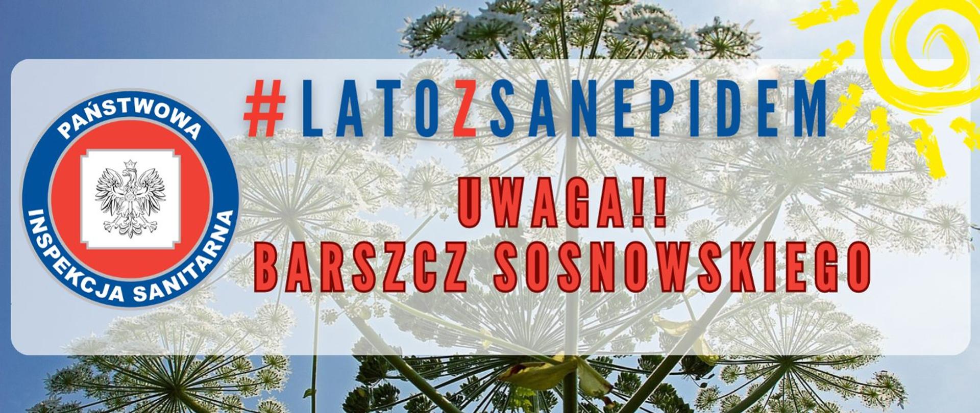 Grafika przedstawia zdjęcie rośliny, barszczu Sosnowskiego na tle nieba , w tle zdjęcia znajduje się napis : #latozsanepidem, uwaga! Barszcz Sosnowskiego , obok napisu logo Inspekcji sanitarnej 