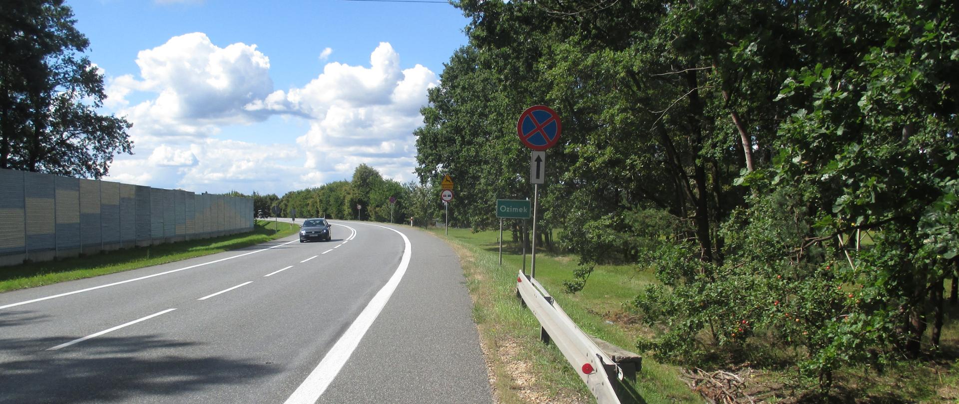 DK46 na odc. Ozimek - Grodziec