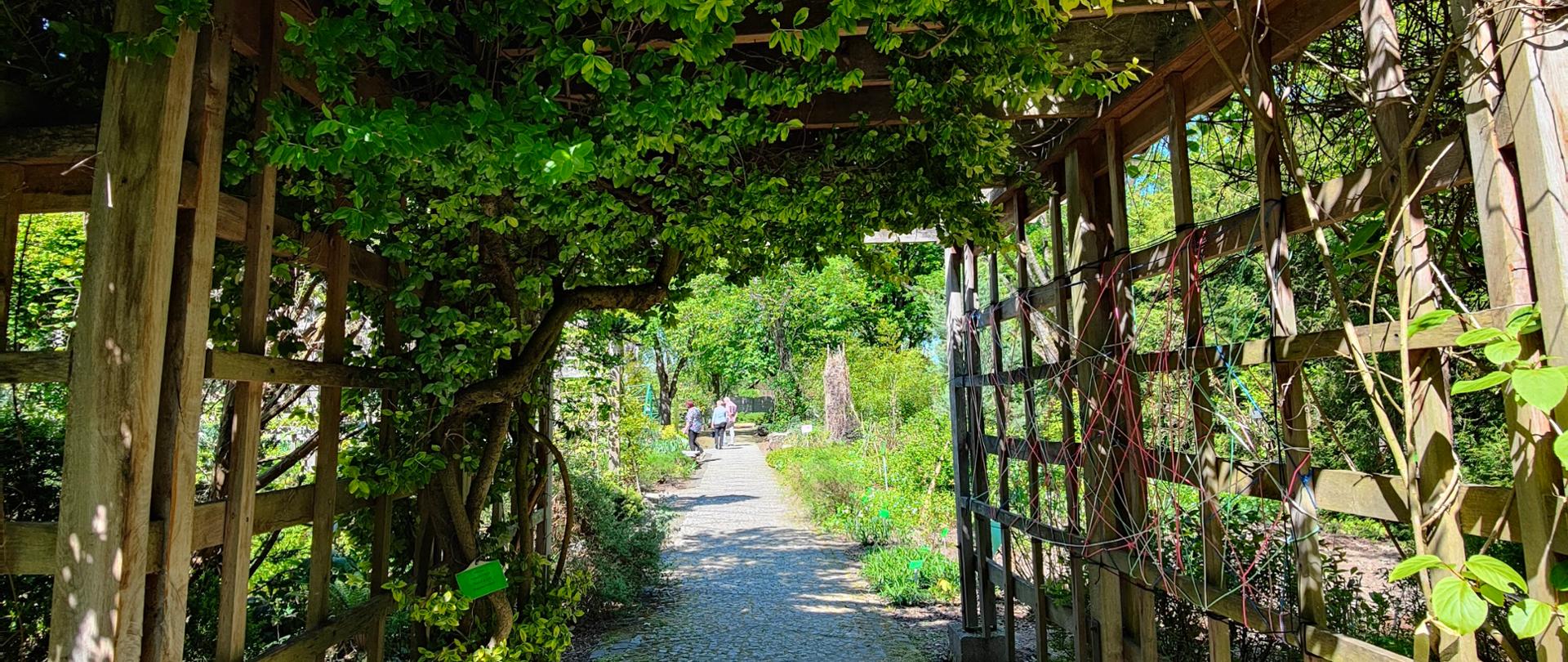 Bolestraszyce - Arboretum 