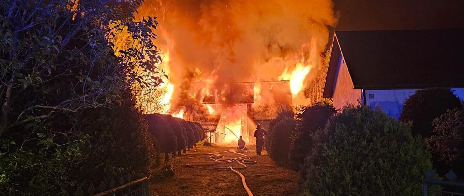Pożar stodoły w pełni rozwinięty, na zdjęciu widać linie gaśnicze i główne oraz strażaków podczas akcji gaszenia pożaru.