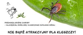 plakat z zasadami profilaktyki chorób od kleszczowych.