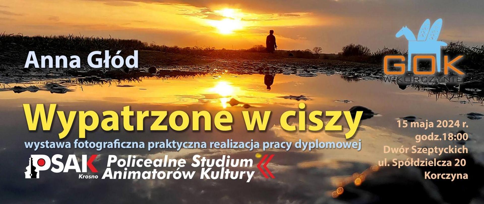 Plakat informujący o wystawie fotograficznej Anny Głód zatytułowanej Wypatrzone w ciszy. Tłem plakatu jest zdjęcie zachodzącego słońca a na jego tle czarna sylwetka człowieka. 