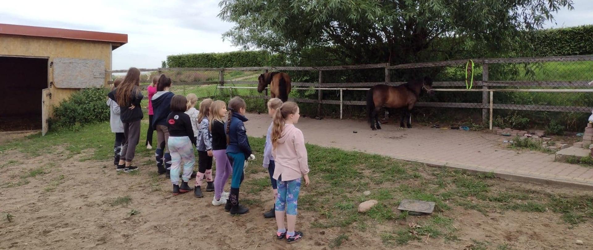 Spotkanie edukacyjne uczestników kolonii letnich