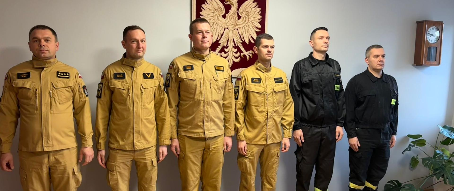 Strażacy stoją w szeregu. W tle godło Polski.