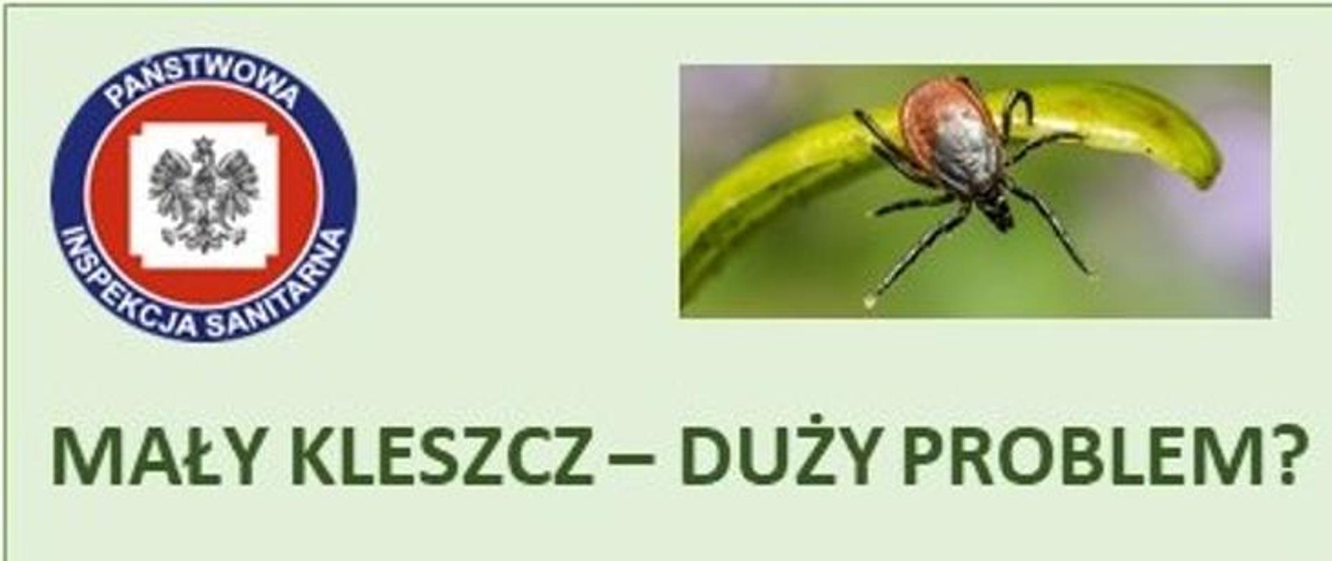 Mały kleszcz - Duży problem