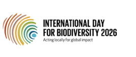 LOGO IDB